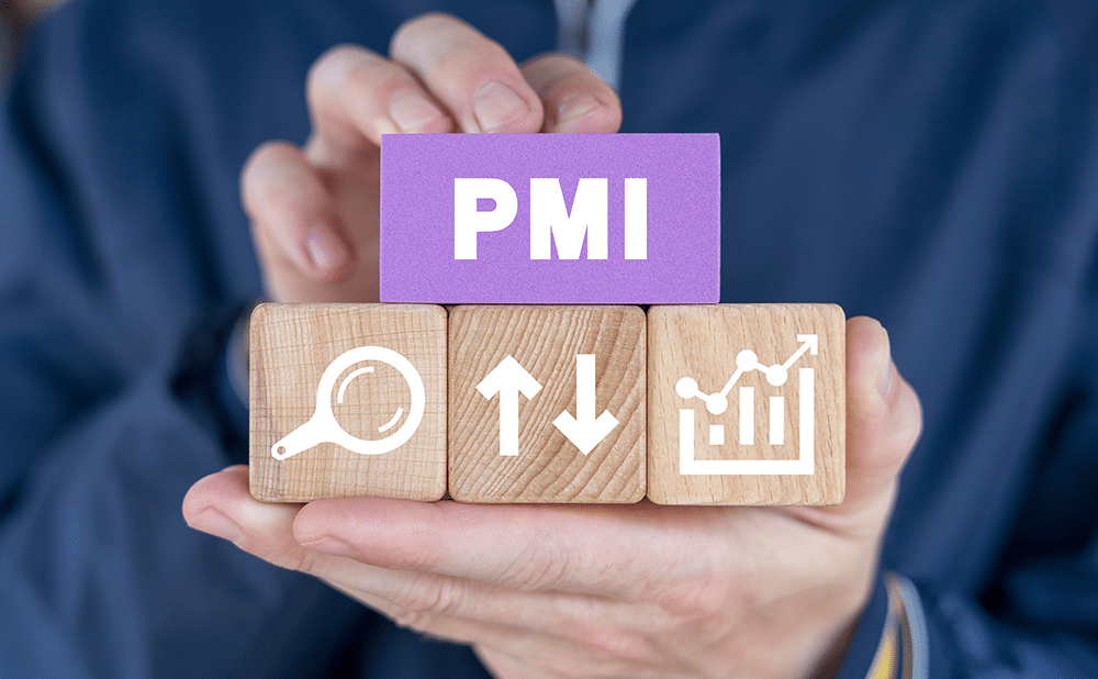 Understanding Mortgage Insurance: What It Is and Why It Matters mortgage insurance