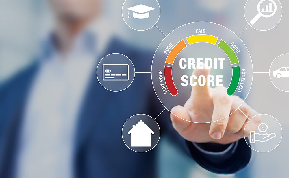 What Makes Up Your Credit Score | Homestead Financial